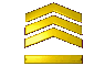 Colonel